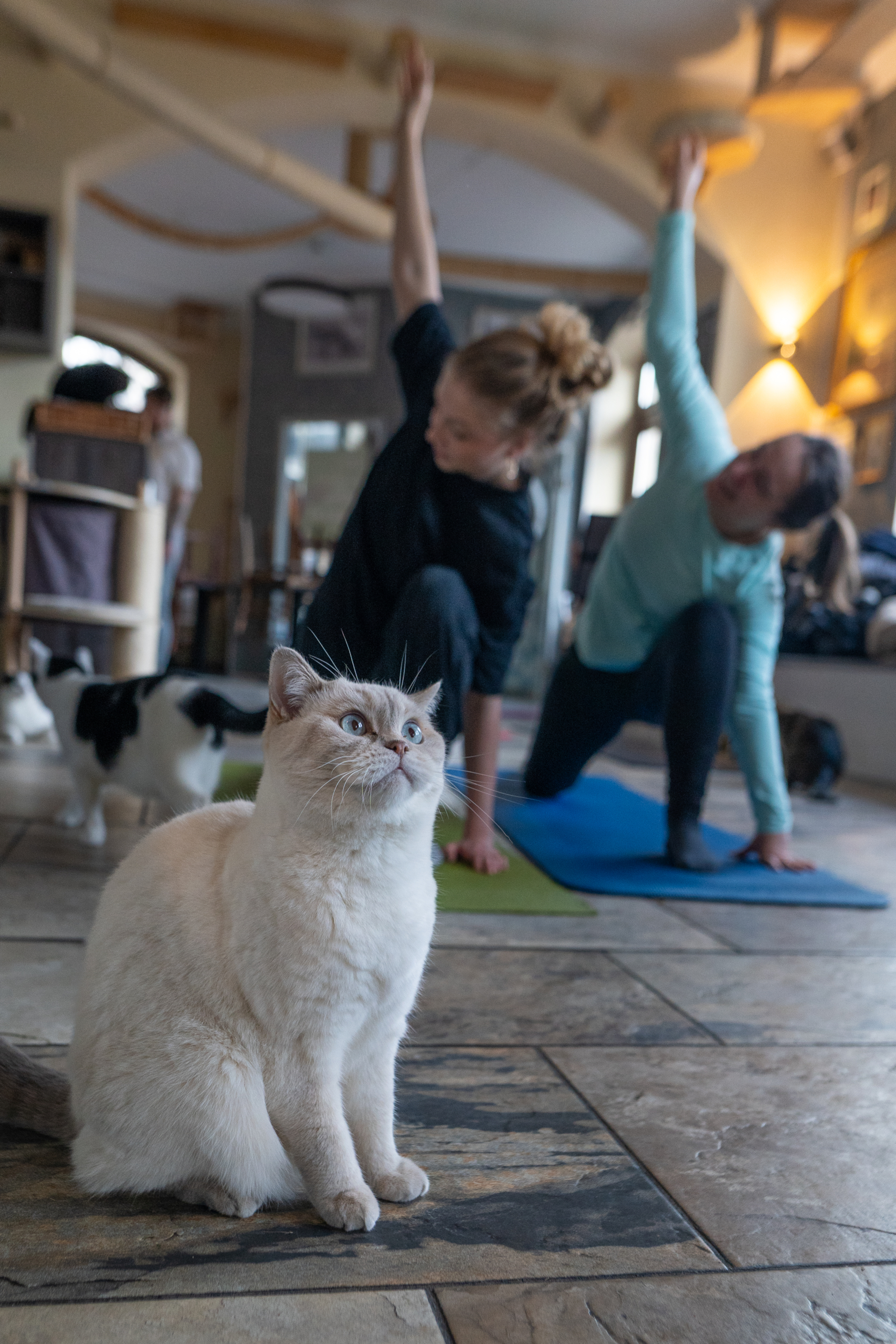 Yoga Brunch Leipzig Ost September
