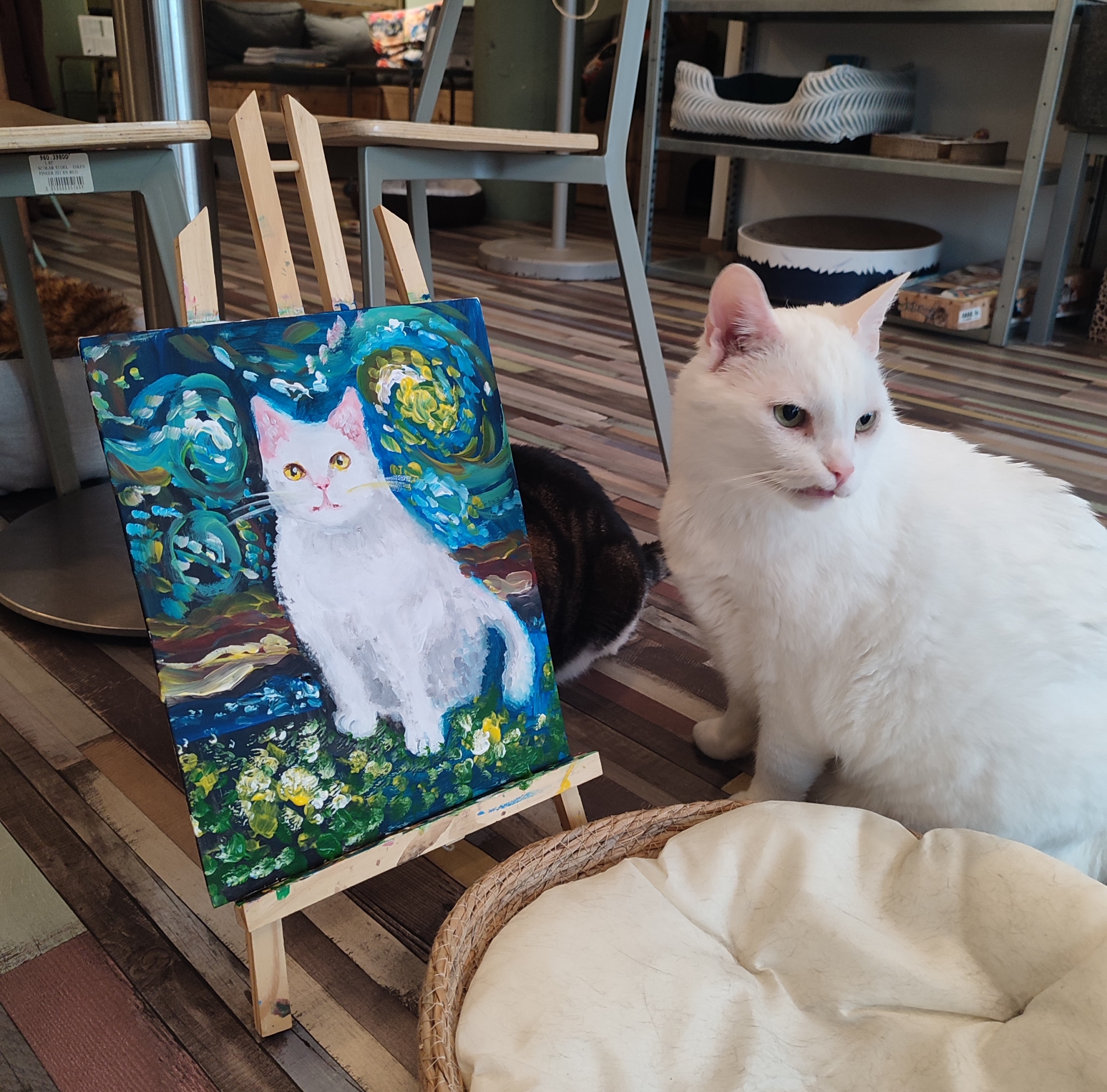 Paint & Purr Bochum 02. November