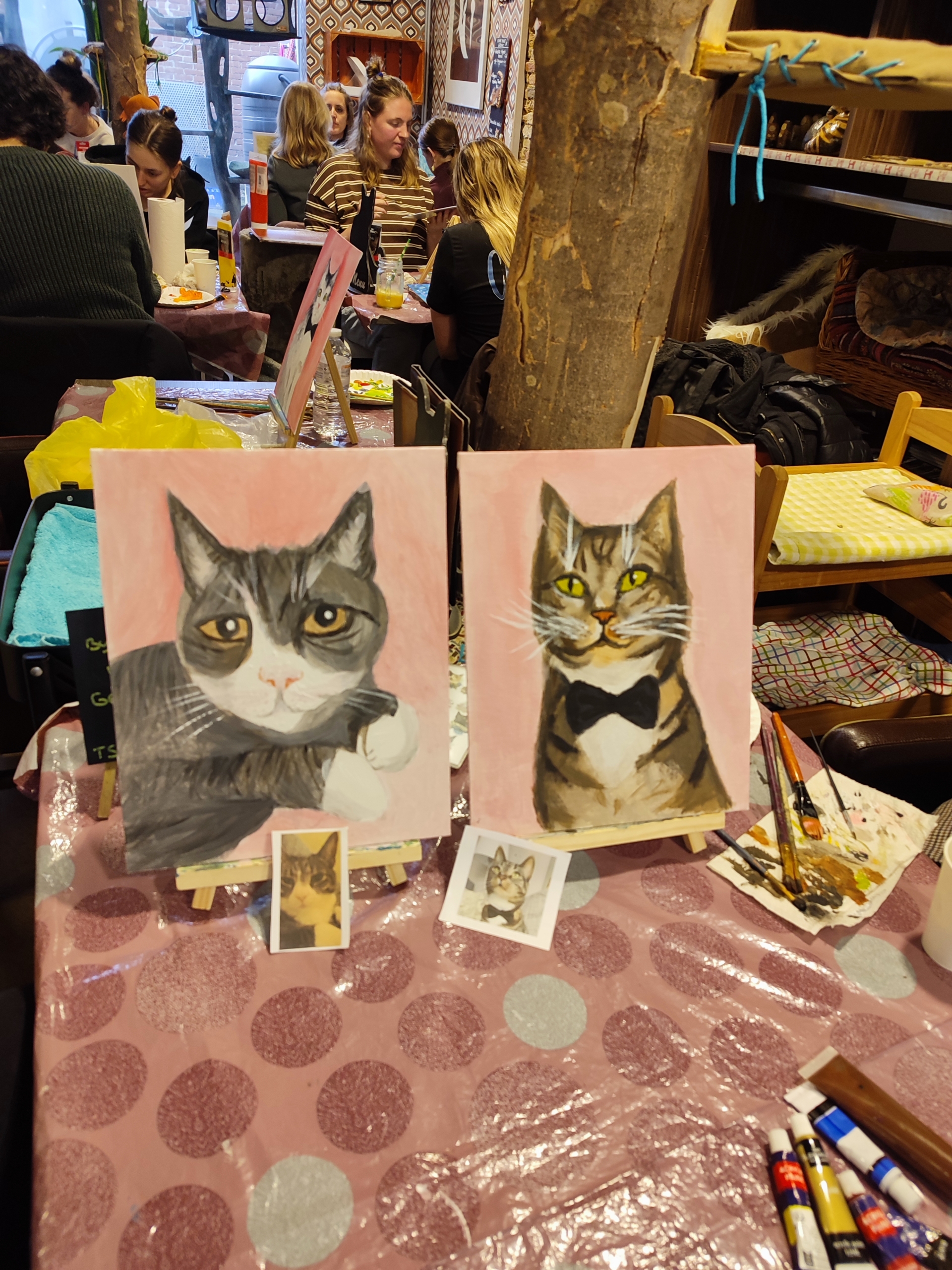 Paint & Purr Leipzig Mitte 17. November