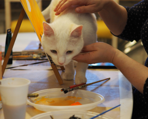 OLYMPUS DIGITAL CAMERA