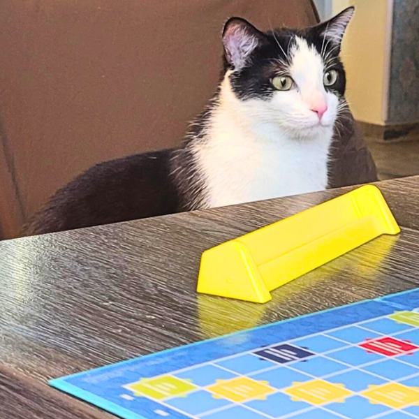 Catsino Heidelberg