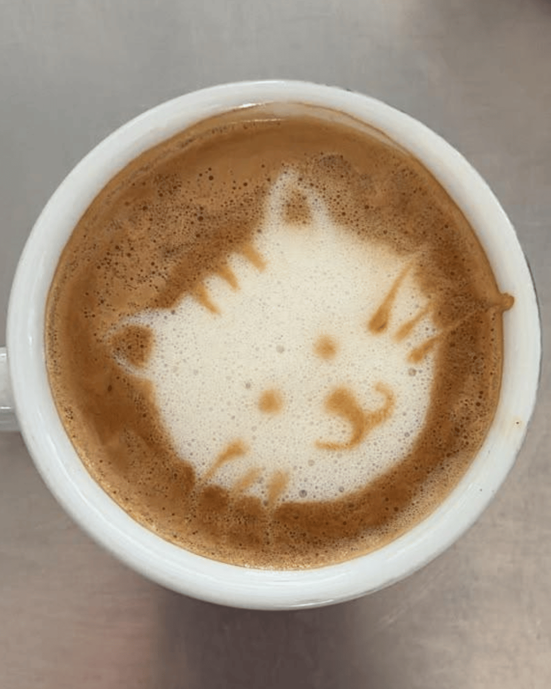 veganer Barista Kurs Bremen Oktober