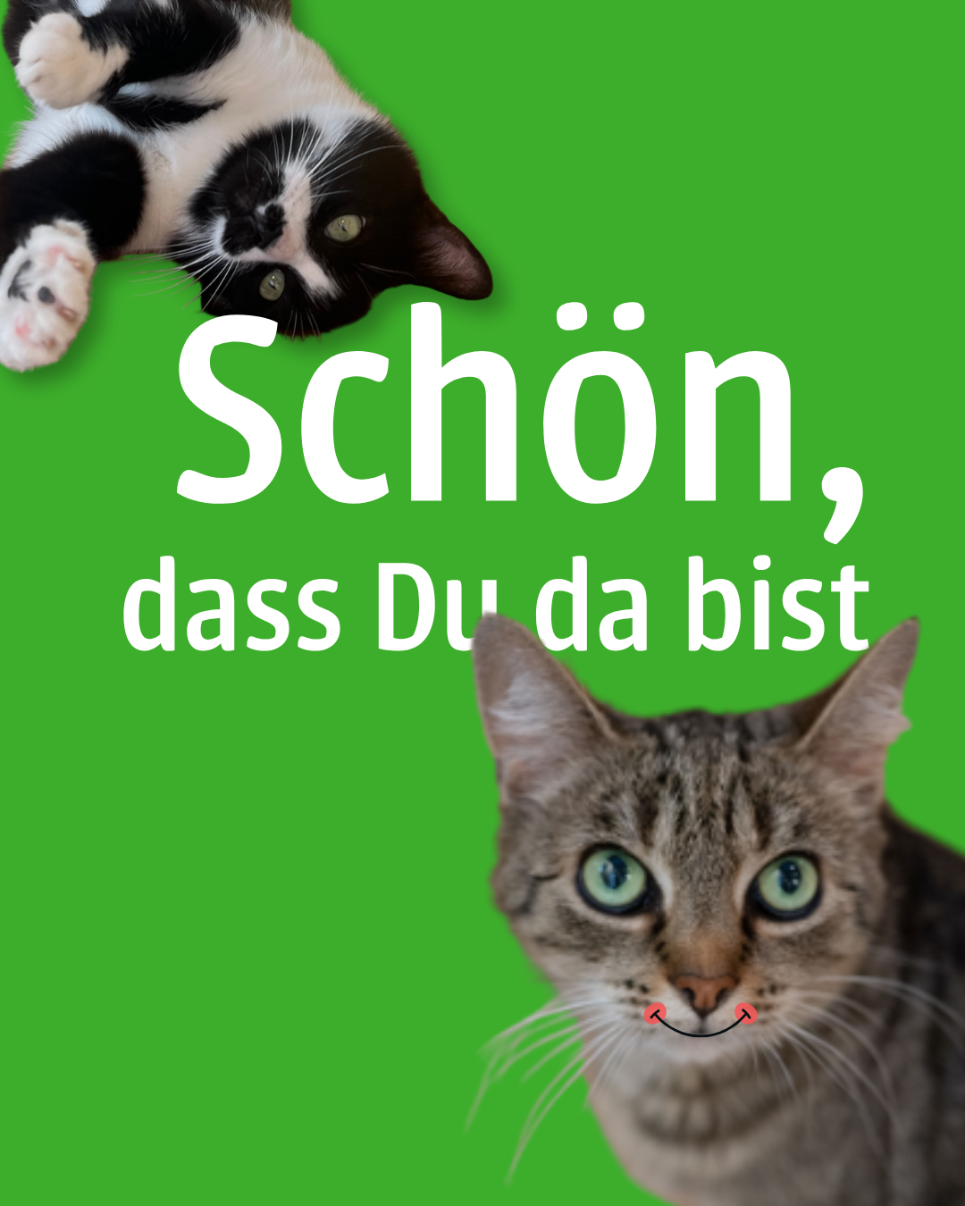 2026 Instagram Beiträge (34)