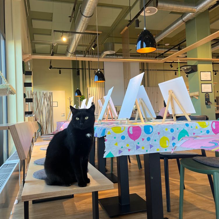 Paint & Purr Heidelberg 04. November