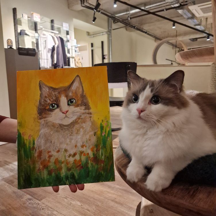 Paint & Purr Bremen 30. November